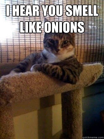 I hear you smell like onions  - I hear you smell like onions   The Most Interesting Cat in the World