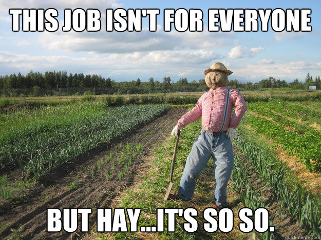 This job isn't for everyone But Hay...it's so so.   Scarecrow