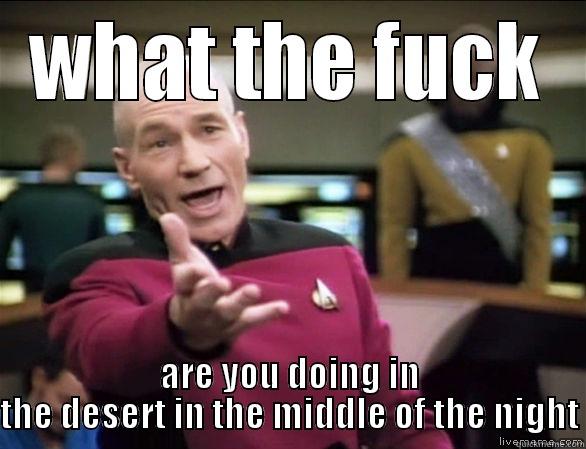 WHAT THE FUCK ARE YOU DOING IN THE DESERT IN THE MIDDLE OF THE NIGHT Annoyed Picard HD