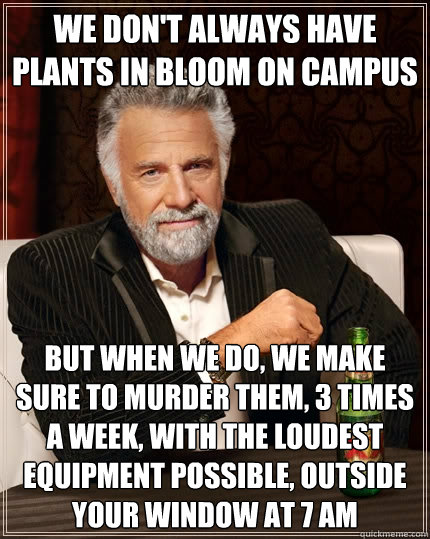 We don't always have plants in bloom on campus But when we do, we make sure to murder them, 3 times a week, with the loudest equipment possible, outside your window at 7 am  The Most Interesting Man In The World