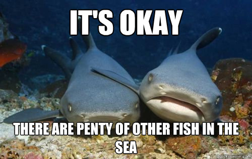 It's Okay there are penty of other fish in the sea  Compassionate Shark Friend