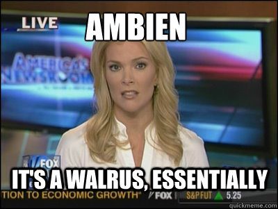 Ambien It's a walrus, essentially  Megyn Kelly