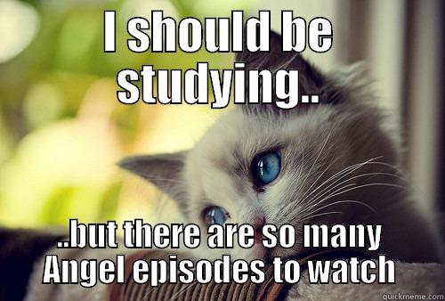 angel cat - I SHOULD BE STUDYING.. ..BUT THERE ARE SO MANY ANGEL EPISODES TO WATCH First World Problems Cat