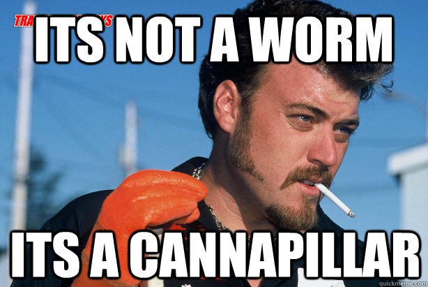 its not a worm  its a cannapillar  Ricky Trailer Park Boys