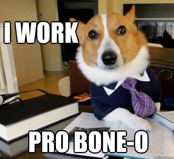 i work pro bone-o  Lawyer Dog