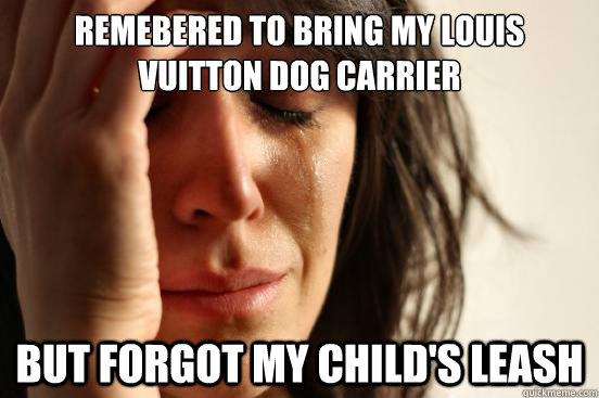 Remebered to bring my Louis Vuitton Dog Carrier but forgot my child's leash  First World Problems