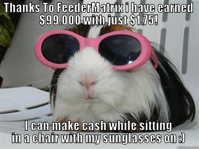 Money hamster! New glasses - THANKS TO FEEDERMATRIX I HAVE EARNED $99.000 WITH JUST $1.75! I CAN MAKE CASH WHILE SITTING IN A CHAIR WITH MY SUNGLASSES ON :) Misc