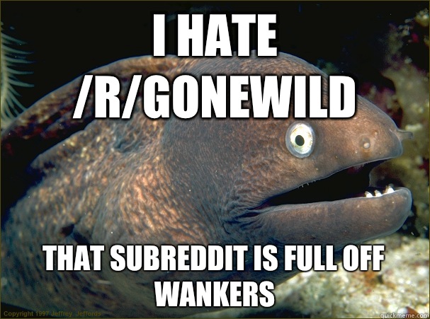 I hate /r/GoneWild That subreddit is full off wankers  Bad Joke Eel