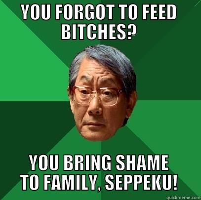 Feed the bitches - YOU FORGOT TO FEED BITCHES? YOU BRING SHAME TO FAMILY, SEPPEKU! High Expectations Asian Father