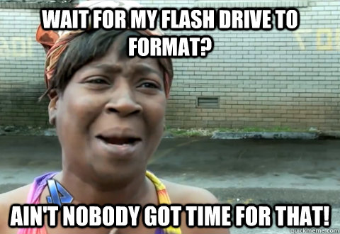 wait for my flash drive to format? Ain't nobody got time for that!  aint nobody got time