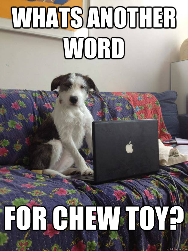 whats another word for chew toy?  