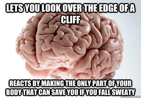 Lets you look over the edge of a cliff Reacts by making the only part of your body that can save you if you fall sweaty  Scumbag Brain