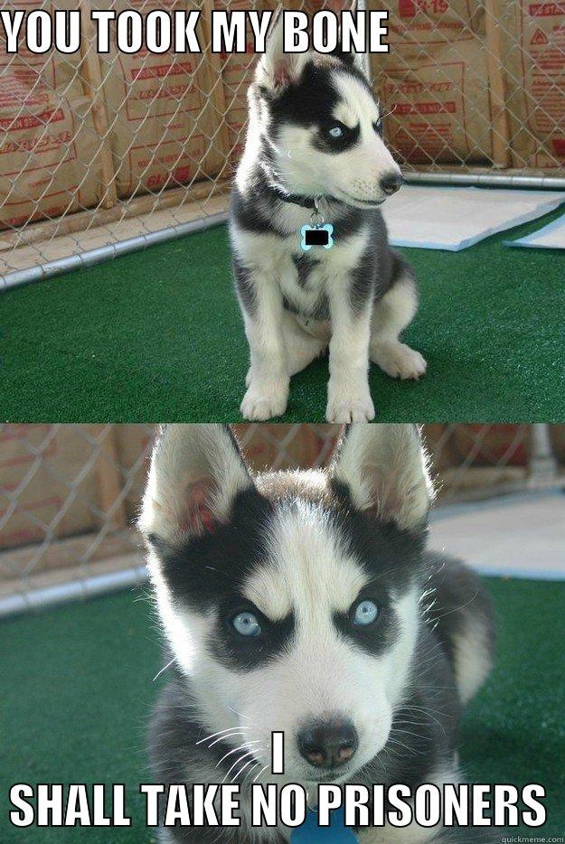 YOU TOOK MY BONE                    I SHALL TAKE NO PRISONERS Insanity puppy