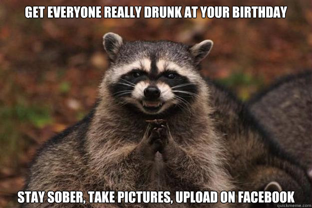 Get Everyone really drunk at your birthday Stay sober, take pictures, upload on facebook - Get Everyone really drunk at your birthday Stay sober, take pictures, upload on facebook  Evil Plotting Raccoon