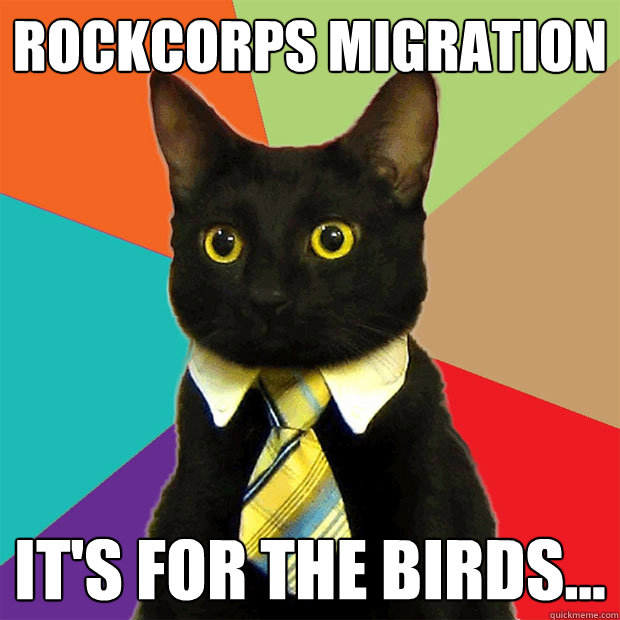 rockcorps migration it's for the birds...  Business Cat