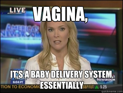 Vagina, It's a baby delivery system, essentially  Megyn Kelly