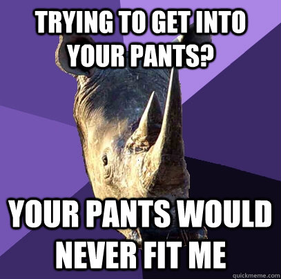 Trying to get into your pants? Your pants would never fit me - Trying to get into your pants? Your pants would never fit me  Sexually Oblivious Rhino