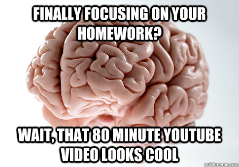 finally focusing on your homework? Wait, that 80 minute youtube video looks cool   Scumbag Brain