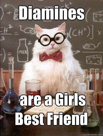 Diamines  are a Girls Best Friend - Diamines  are a Girls Best Friend  Chemistry Cat