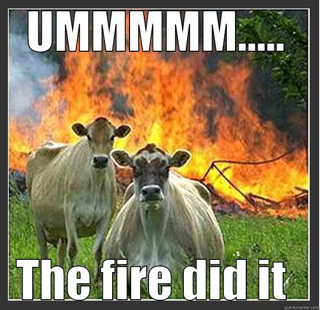 UMMMMM..... THE FIRE DID IT  Evil cows