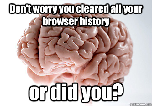 Don't worry you cleared all your browser history  or did you?  - Don't worry you cleared all your browser history  or did you?   Scumbag Brain