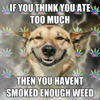 If you think you ate too much then you havent smoked enough weed  Stoner Dog