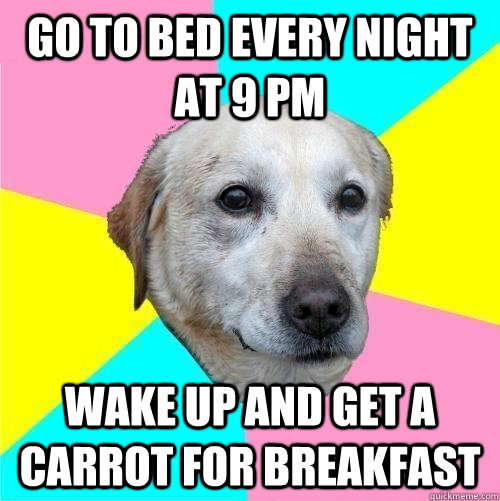 Go to bed every night at 9 pm wake up and get a carrot for breakfast  Politically Neutral Dog