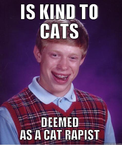 IS KIND TO CATS DEEMED AS A CAT RAPIST Bad Luck Brian