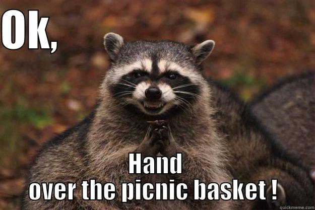 Your picnic basket please - OK,                               HAND OVER THE PICNIC BASKET !  Evil Plotting Raccoon