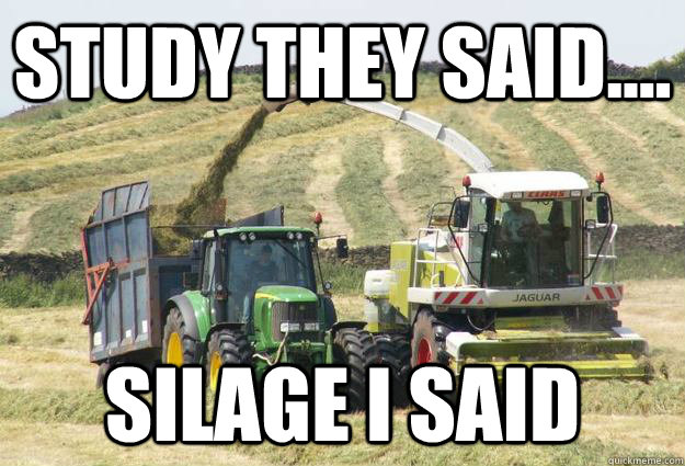 Study they said.... silage i said  Silage