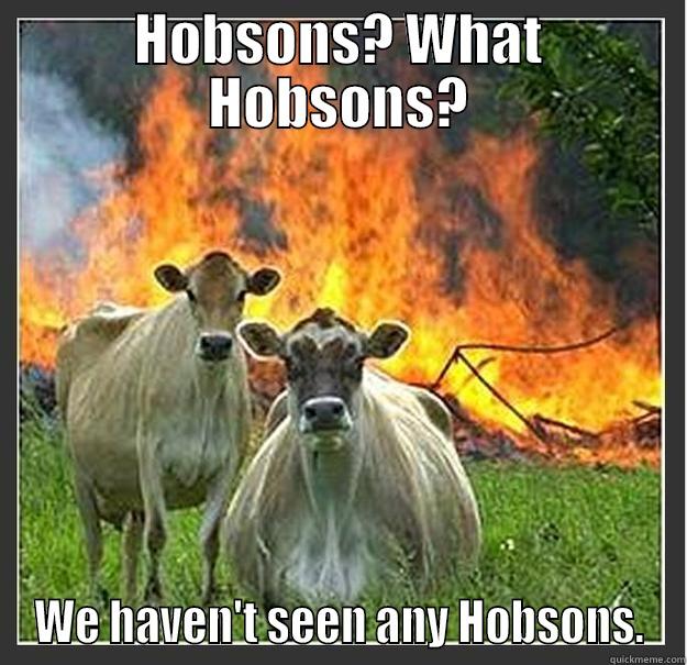 HOBSONS? WHAT HOBSONS? WE HAVEN'T SEEN ANY HOBSONS. Evil cows