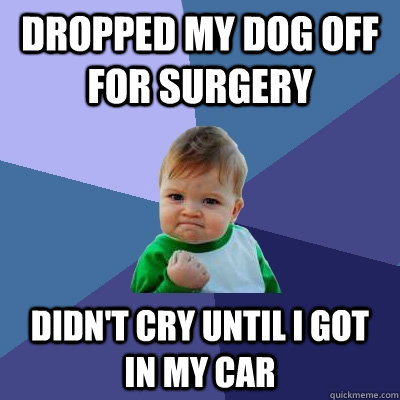 Dropped my dog off for surgery didn't cry until i got in my car  Success Kid