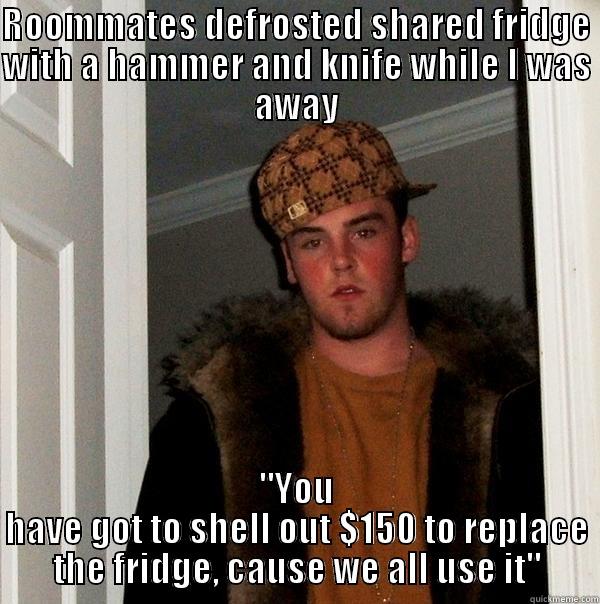 Shared student accommodation in NZ when I was at Uni. They guilt trip me into paying.  - ROOMMATES DEFROSTED SHARED FRIDGE WITH A HAMMER AND KNIFE WHILE I WAS AWAY 