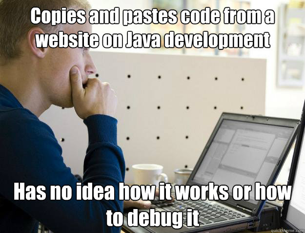 Copies and pastes code from a website on Java development Has no idea how it works or how to debug it  Programmer