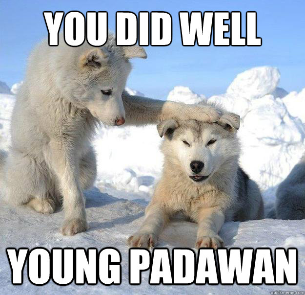 you did well young padawan  Caring Husky