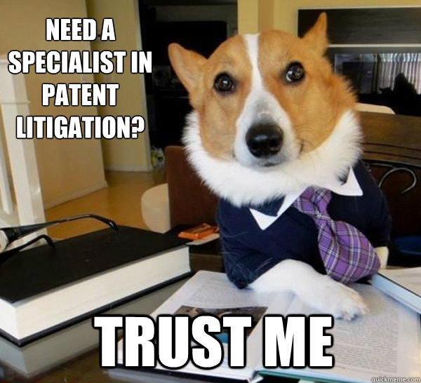 Need a specialist in patent litigation? Trust me  Lawyer Dog