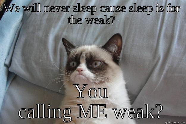 WE WILL NEVER SLEEP CAUSE SLEEP IS FOR THE WEAK? YOU CALLING ME WEAK? Grumpy Cat