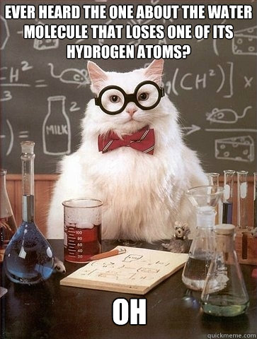 Ever heard the one about the water molecule that loses one of its hydrogen atoms? OH - Ever heard the one about the water molecule that loses one of its hydrogen atoms? OH  Chemistry Cat