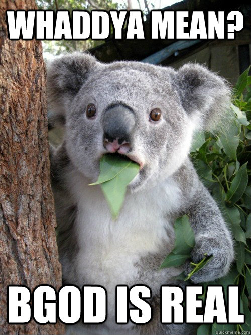 Whaddya mean? Bgod is real  koala bear