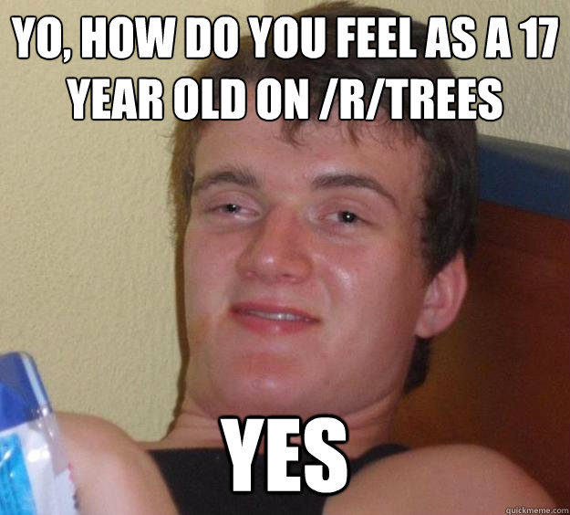 Yo, how do you feel as a 17 year old on /r/trees Yes - Yo, how do you feel as a 17 year old on /r/trees Yes  10 Guy