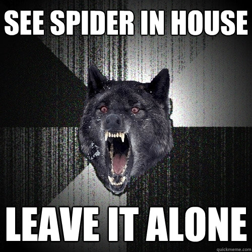 see spider in house leave it alone - see spider in house leave it alone  Insanity Wolf