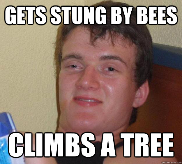 Gets stung by bees climbs a tree - Gets stung by bees climbs a tree  10 Guy