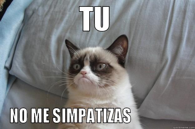 TU NO ME SIMPATIZAS                   Grumpy Cat