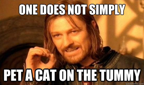 One Does Not Simply Pet a cat on the tummy - One Does Not Simply Pet a cat on the tummy  Boromir