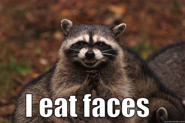  I EAT FACES  Evil Plotting Raccoon