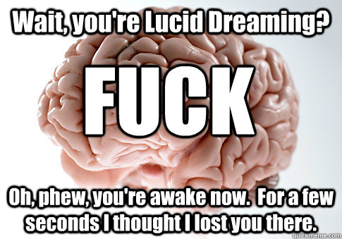 Wait, you're Lucid Dreaming? Oh, phew, you're awake now.  For a few seconds I thought I lost you there. FUCK - Wait, you're Lucid Dreaming? Oh, phew, you're awake now.  For a few seconds I thought I lost you there. FUCK  Scumbag Brain