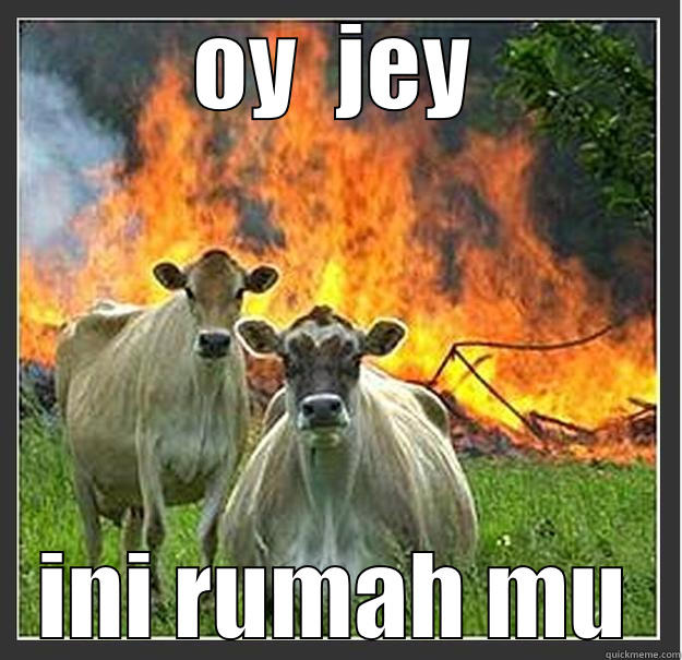 OY  JEY INI RUMAH MU Evil cows