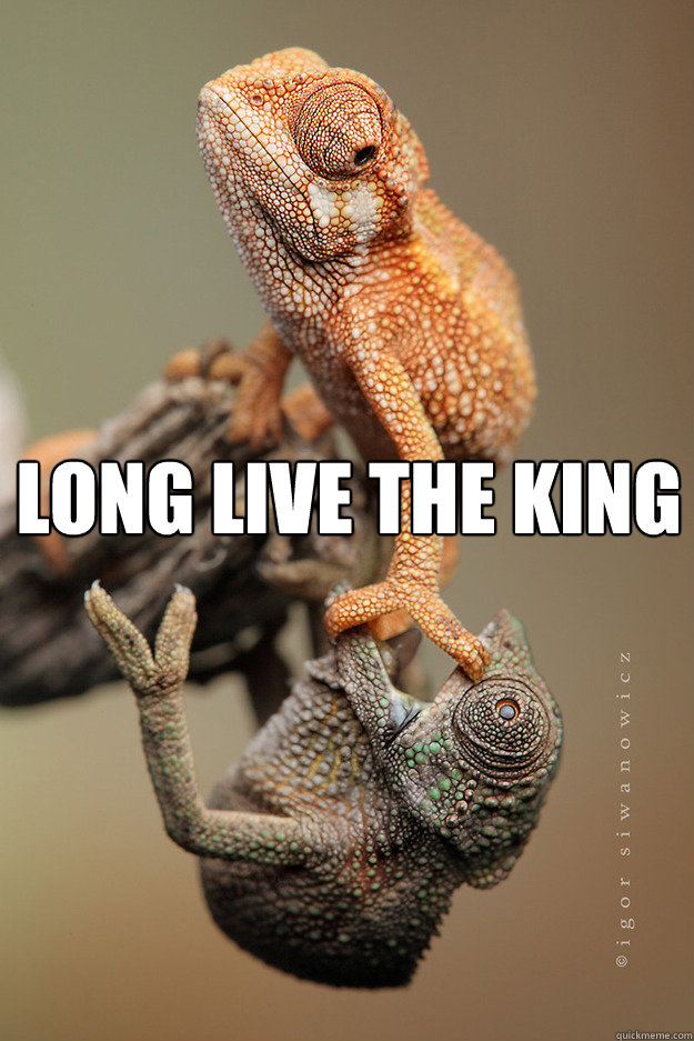 Long Live The king - Long Live The king  Long live the king
