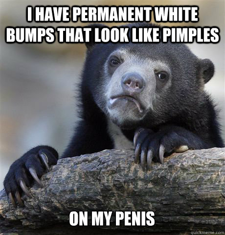 I have permanent white bumps that look like pimples on my penis  Confession Bear