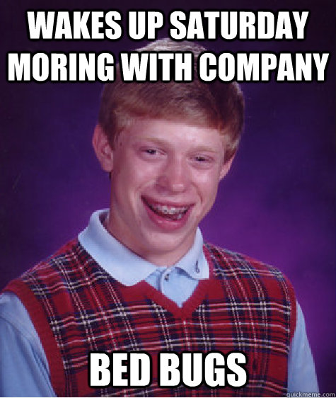 wakes up saturday moring with company bed bugs - wakes up saturday moring with company bed bugs  Bad Luck Brian